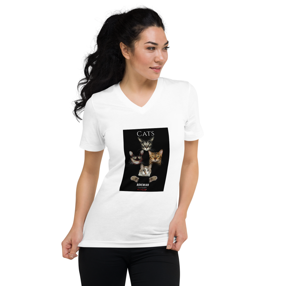 Unisex Short Sleeve V-Neck T-Shirt